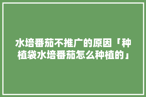 水培番茄不推广的原因「种植袋水培番茄怎么种植的」 水培番茄不推广的原因「种植袋水培番茄怎么种植的」 植物种类
