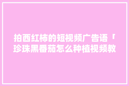 拍西红柿的短视频广告语「珍珠黑番茄怎么种植视频教程」 拍西红柿的短视频广告语「珍珠黑番茄怎么种植视频教程」 土壤施肥