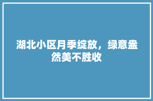 湖北小区月季绽放，绿意盎然美不胜收
