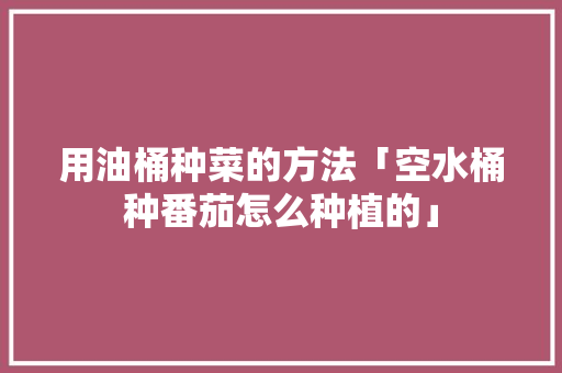 用油桶种菜的方法「空水桶种番茄怎么种植的」 用油桶种菜的方法「空水桶种番茄怎么种植的」 土壤施肥