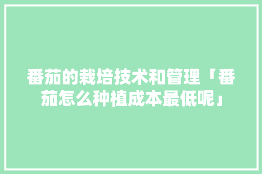 番茄的栽培技术和管理「番茄怎么种植成本最低呢」 番茄的栽培技术和管理「番茄怎么种植成本最低呢」 种植技巧