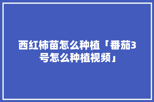西红柿苗怎么种植「番茄3号怎么种植视频」 西红柿苗怎么种植「番茄3号怎么种植视频」 植物种类
