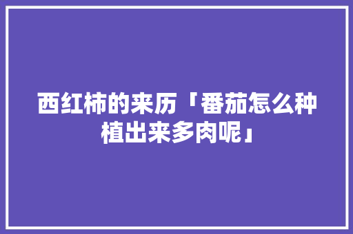 西红柿的来历「番茄怎么种植出来多肉呢」 花朵知识 西红柿的来历「番茄怎么种植出来多肉呢」 西红柿的来历「番茄怎么种植出来多肉呢」 花朵知识