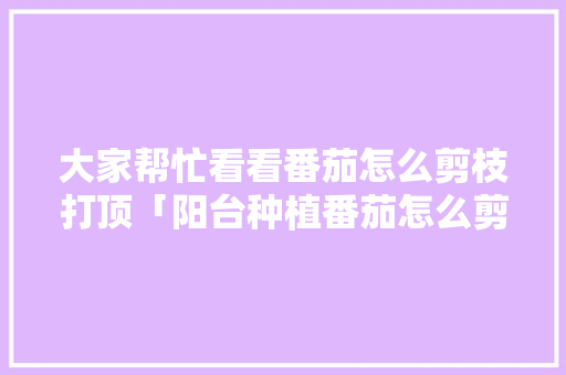 大家帮忙看看番茄怎么剪枝打顶「阳台种植番茄怎么剪枝视频」 大家帮忙看看番茄怎么剪枝打顶「阳台种植番茄怎么剪枝视频」 番茄病虫害防治