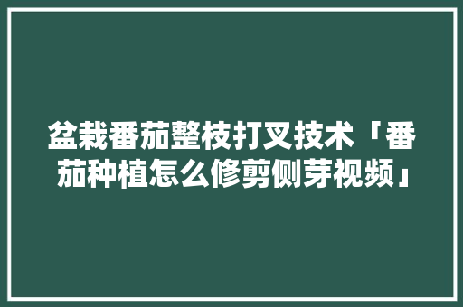 盆栽番茄整枝打叉技术「番茄种植怎么修剪侧芽视频」 盆栽番茄整枝打叉技术「番茄种植怎么修剪侧芽视频」 花朵知识