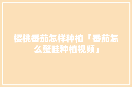 樱桃番茄怎样种植「番茄怎么整畦种植视频」 土壤施肥 樱桃番茄怎样种植「番茄怎么整畦种植视频」 樱桃番茄怎样种植「番茄怎么整畦种植视频」 土壤施肥