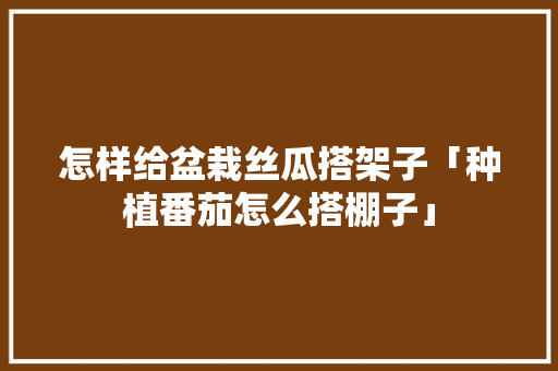 怎样给盆栽丝瓜搭架子「种植番茄怎么搭棚子」