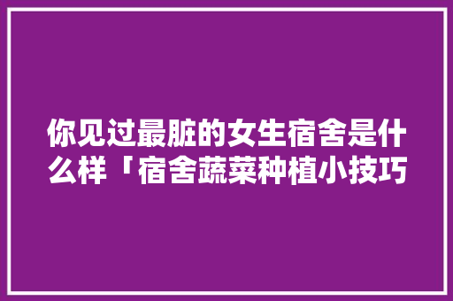 你见过最脏的女生宿舍是什么样「宿舍蔬菜种植小技巧视频教程」