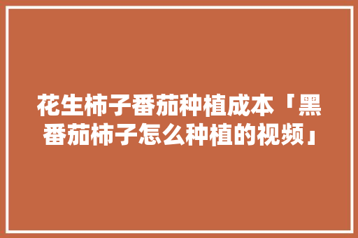 花生柿子番茄种植成本「黑番茄柿子怎么种植的视频」 花生柿子番茄种植成本「黑番茄柿子怎么种植的视频」 番茄病虫害防治