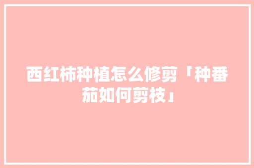 西红柿种植怎么修剪「种番茄如何剪枝」 西红柿种植怎么修剪「种番茄如何剪枝」 番茄病虫害防治