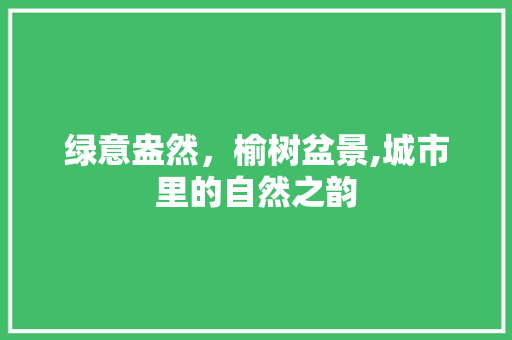 绿意盎然，榆树盆景,城市里的自然之韵