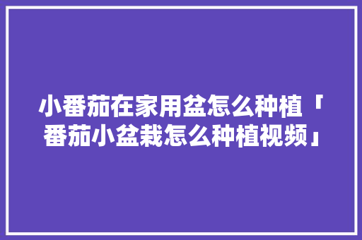 小番茄在家用盆怎么种植「番茄小盆栽怎么种植视频」 小番茄在家用盆怎么种植「番茄小盆栽怎么种植视频」 土壤施肥