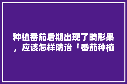 种植番茄后期出现了畸形果，应该怎样防治「番茄种植早衰怎么办视频」 种植番茄后期出现了畸形果，应该怎样防治「番茄种植早衰怎么办视频」 农业常识