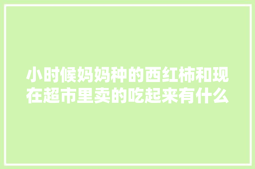 小时候妈妈种的西红柿和现在超市里卖的吃起来有什么区别「荷兰番茄柿子怎么种植视频」 小时候妈妈种的西红柿和现在超市里卖的吃起来有什么区别「荷兰番茄柿子怎么种植视频」 番茄病虫害防治