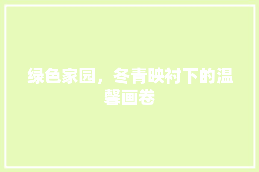 绿色家园，冬青映衬下的温馨画卷