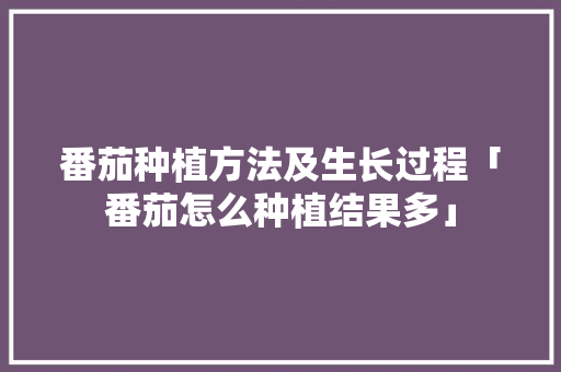 番茄种植方法及生长过程「番茄怎么种植结果多」 番茄种植方法及生长过程「番茄怎么种植结果多」 农业常识