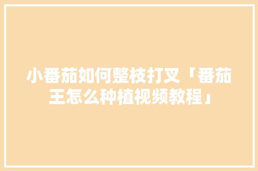 小番茄如何整枝打叉「番茄王怎么种植视频教程」 小番茄如何整枝打叉「番茄王怎么种植视频教程」 番茄种植技巧