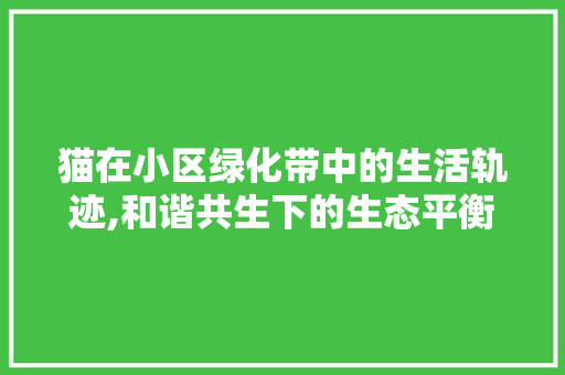 猫在小区绿化带中的生活轨迹,和谐共生下的生态平衡