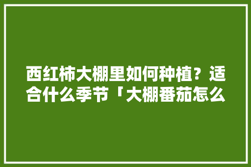 西红柿大棚里如何种植？适合什么季节「大棚番茄怎么种植方法视频」 西红柿大棚里如何种植？适合什么季节「大棚番茄怎么种植方法视频」 植物种类