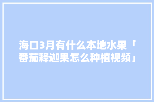 海口3月有什么本地水果「番茄释迦果怎么种植视频」
