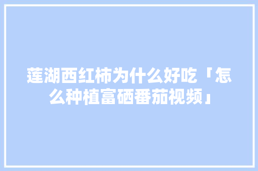 莲湖西红柿为什么好吃「怎么种植富硒番茄视频」 莲湖西红柿为什么好吃「怎么种植富硒番茄视频」 花朵知识