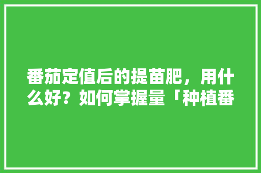 番茄定值后的提苗肥，用什么好？如何掌握量「种植番茄缺钙怎么补最快呢」 番茄定值后的提苗肥，用什么好？如何掌握量「种植番茄缺钙怎么补最快呢」 番茄病虫害防治