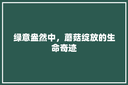绿意盎然中，蘑菇绽放的生命奇迹
