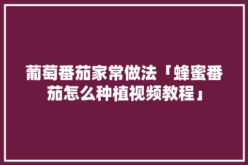 葡萄番茄家常做法「蜂蜜番茄怎么种植视频教程」 葡萄番茄家常做法「蜂蜜番茄怎么种植视频教程」 农业常识