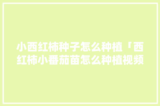 小西红柿种子怎么种植「西红柿小番茄苗怎么种植视频」 番茄种植技巧 小西红柿种子怎么种植「西红柿小番茄苗怎么种植视频」 小西红柿种子怎么种植「西红柿小番茄苗怎么种植视频」 番茄种植技巧