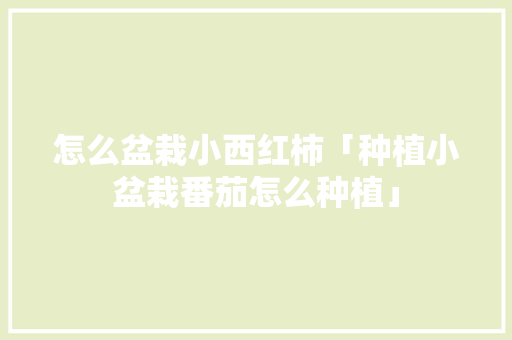 怎么盆栽小西红柿「种植小盆栽番茄怎么种植」 怎么盆栽小西红柿「种植小盆栽番茄怎么种植」 植物种类