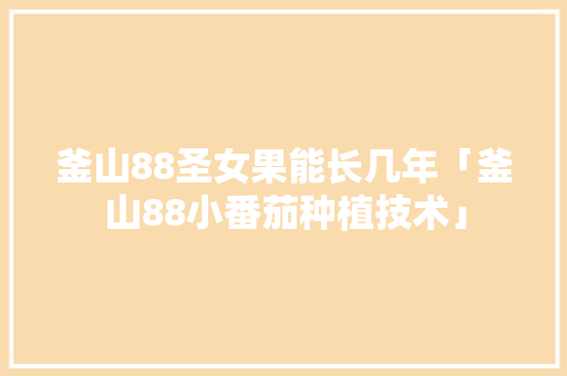 釜山88圣女果能长几年「釜山88小番茄种植技术」