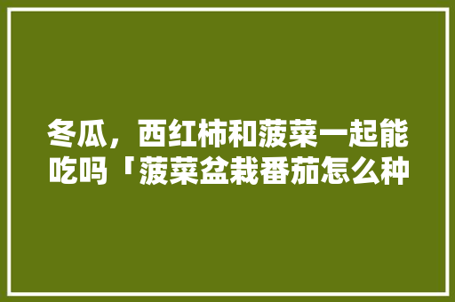冬瓜，西红柿和菠菜一起能吃吗「菠菜盆栽番茄怎么种植视频」 冬瓜，西红柿和菠菜一起能吃吗「菠菜盆栽番茄怎么种植视频」 土壤施肥