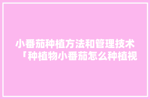 小番茄种植方法和管理技术「种植物小番茄怎么种植视频」 小番茄种植方法和管理技术「种植物小番茄怎么种植视频」 番茄种植技巧