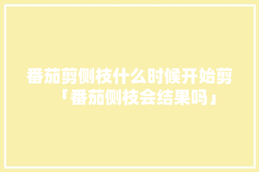 番茄剪侧枝什么时候开始剪「番茄侧枝会结果吗」 番茄剪侧枝什么时候开始剪「番茄侧枝会结果吗」 农业常识