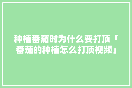 种植番茄时为什么要打顶「番茄的种植怎么打顶视频」 种植番茄时为什么要打顶「番茄的种植怎么打顶视频」 花朵知识