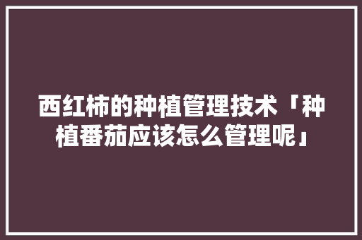 西红柿的种植管理技术「种植番茄应该怎么管理呢」 西红柿的种植管理技术「种植番茄应该怎么管理呢」 植物种类