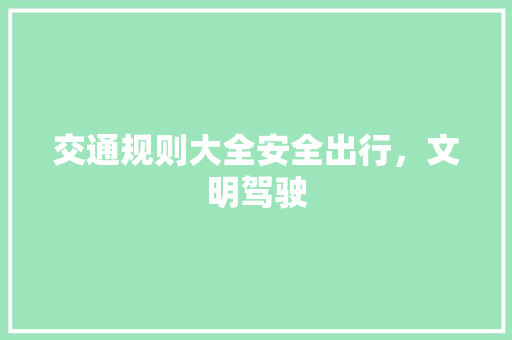 交通规则大全安全出行，文明驾驶