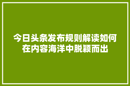 今日头条发布规则解读如何在内容海洋中脱颖而出 花朵知识