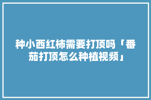 种小西红柿需要打顶吗「番茄打顶怎么种植视频」 种小西红柿需要打顶吗「番茄打顶怎么种植视频」 番茄种植技巧