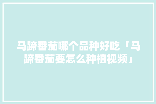 马蹄番茄哪个品种好吃「马蹄番茄要怎么种植视频」 马蹄番茄哪个品种好吃「马蹄番茄要怎么种植视频」 种植技巧