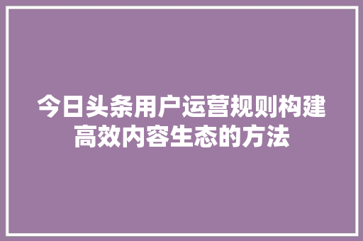 今日头条用户运营规则构建高效内容生态的方法