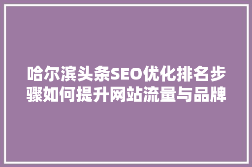 哈尔滨头条SEO优化排名步骤如何提升网站流量与品牌知名度