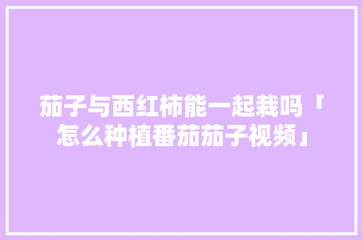 茄子与西红柿能一起栽吗「怎么种植番茄茄子视频」 茄子与西红柿能一起栽吗「怎么种植番茄茄子视频」 农业常识