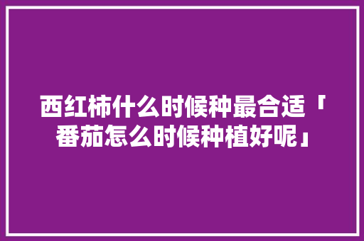 西红柿什么时候种最合适「番茄怎么时候种植好呢」 西红柿什么时候种最合适「番茄怎么时候种植好呢」 番茄种植技巧