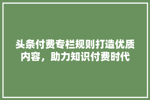 头条付费专栏规则打造优质内容，助力知识付费时代