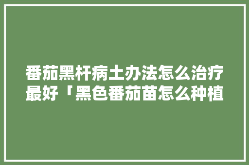 番茄黑杆病土办法怎么治疗最好「黑色番茄苗怎么种植方法视频」 番茄黑杆病土办法怎么治疗最好「黑色番茄苗怎么种植方法视频」 花朵知识