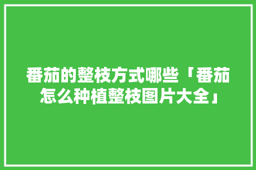 番茄的整枝方式哪些「番茄怎么种植整枝图片大全」 番茄的整枝方式哪些「番茄怎么种植整枝图片大全」 土壤施肥
