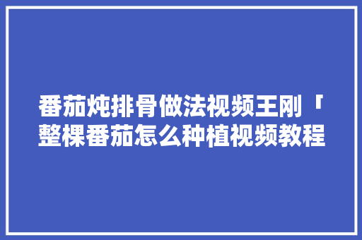番茄炖排骨做法视频王刚「整棵番茄怎么种植视频教程」 番茄炖排骨做法视频王刚「整棵番茄怎么种植视频教程」 种植技巧