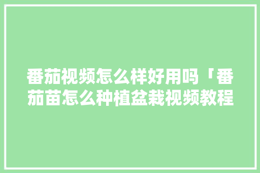 番茄视频怎么样好用吗「番茄苗怎么种植盆栽视频教程」 番茄视频怎么样好用吗「番茄苗怎么种植盆栽视频教程」 番茄种植技巧