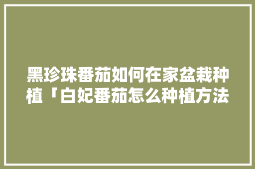 黑珍珠番茄如何在家盆栽种植「白妃番茄怎么种植方法视频」 黑珍珠番茄如何在家盆栽种植「白妃番茄怎么种植方法视频」 土壤施肥